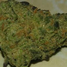 Monster Cookies