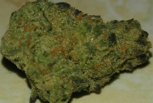 Monster Cookies