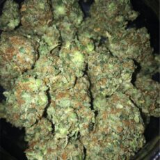 Original Glue Marijuana Strain