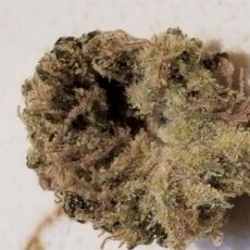 Papaya, Papaya Marijuana Strain