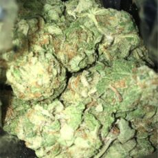 Platinum Bubba Kush