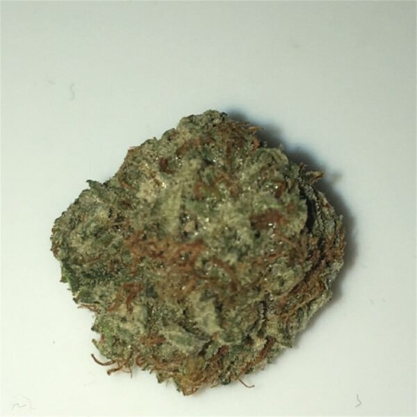 Power Plant, Power Plant Marijuana Strain