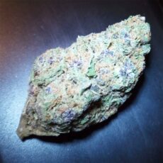 Purple Haze, Purple Haze Marijuana Strain