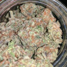 Purple Punch