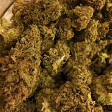 Remedy, Remedy Marijuana Strain