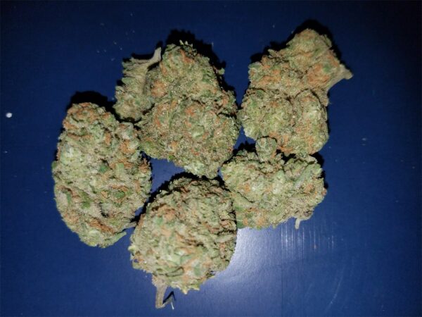 Sensi Star, Sensi Star Marijuana Strain