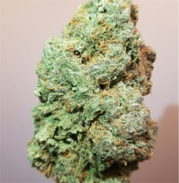 Silver Haze, Silver Haze Marijuana Strain