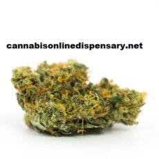 Sour Diesel Marijuana Strain