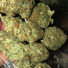 Sour OG