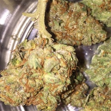 Star dawg