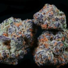 Sundae Driver
