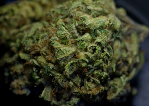 Sunshine, Sunshine Marijuana Strain