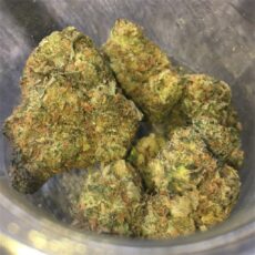 Thin Mint GSC
