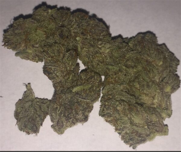 White Buffalo, White Buffalo Marijuana Strain