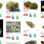 Best Marijuana Strains