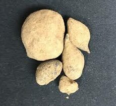 Mango Moonrocks