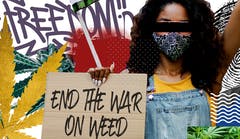 About us 5 buy weed online, Colorado dispensary shipping worldwide, online dispensary, legit, online dispensary shipping worldwide, buy marijuana online, weed online, online weed dispensary, 420 mail order, online dispensary shipping worldwide reviews, 420 mail order worldwide, online dispensary mail order, buy cannabis online, dispensaries that ship to pa, dispensary that ship to Texas, order weed online, dispensaries that ship to va, how to buy edibles online without a card, marijuana online, canada dispensary worldwide shipping, cannabis online dispensary, weed dispensary online, online dispensaries, mail order medical marijuana, online dispensary shipping worldwide paypal, weed online supplier dispensary, cheap legit online dispensary shipping worldwide, online marijuana dispensary, 420 mail order usa, order marijuana online, order marijuana online, cannabis online, online dispensary fl, where to buy weed online, mail order marijuana, online weed dispensaries, dispensaries that ship to tennessee, marijuana dispensary online, online marijuana dispensaries, marijuana online dispensary