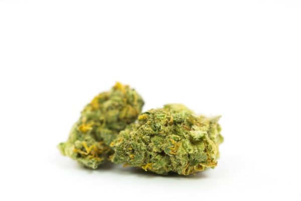 Lemon Head Marijuana Strain