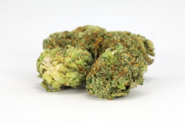 Nova OG Marijuana Strain