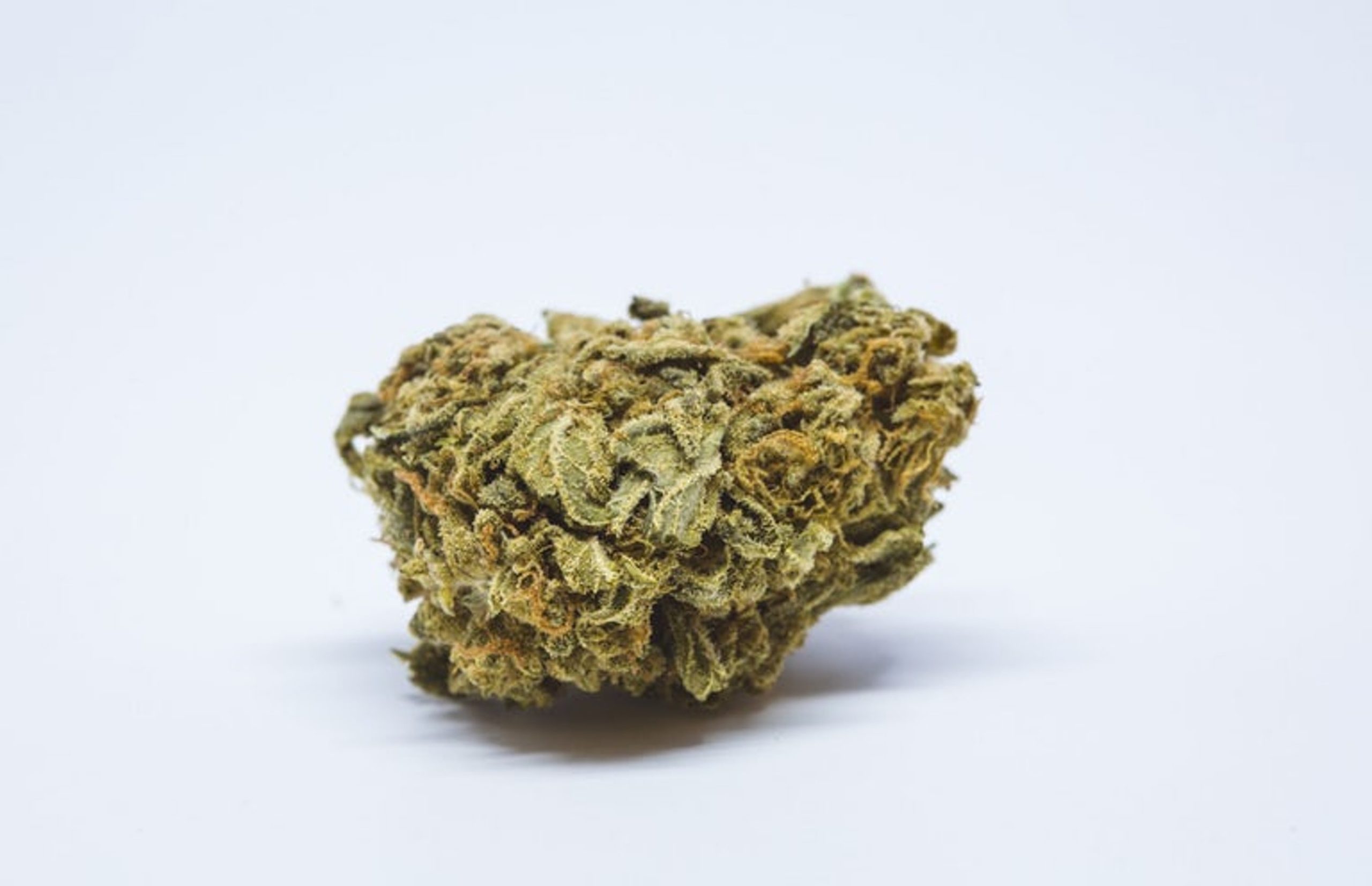 Girl Scout Cookies Thin Mints