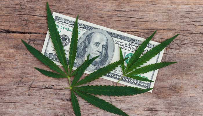 FAQs 1 mail order marijuana online