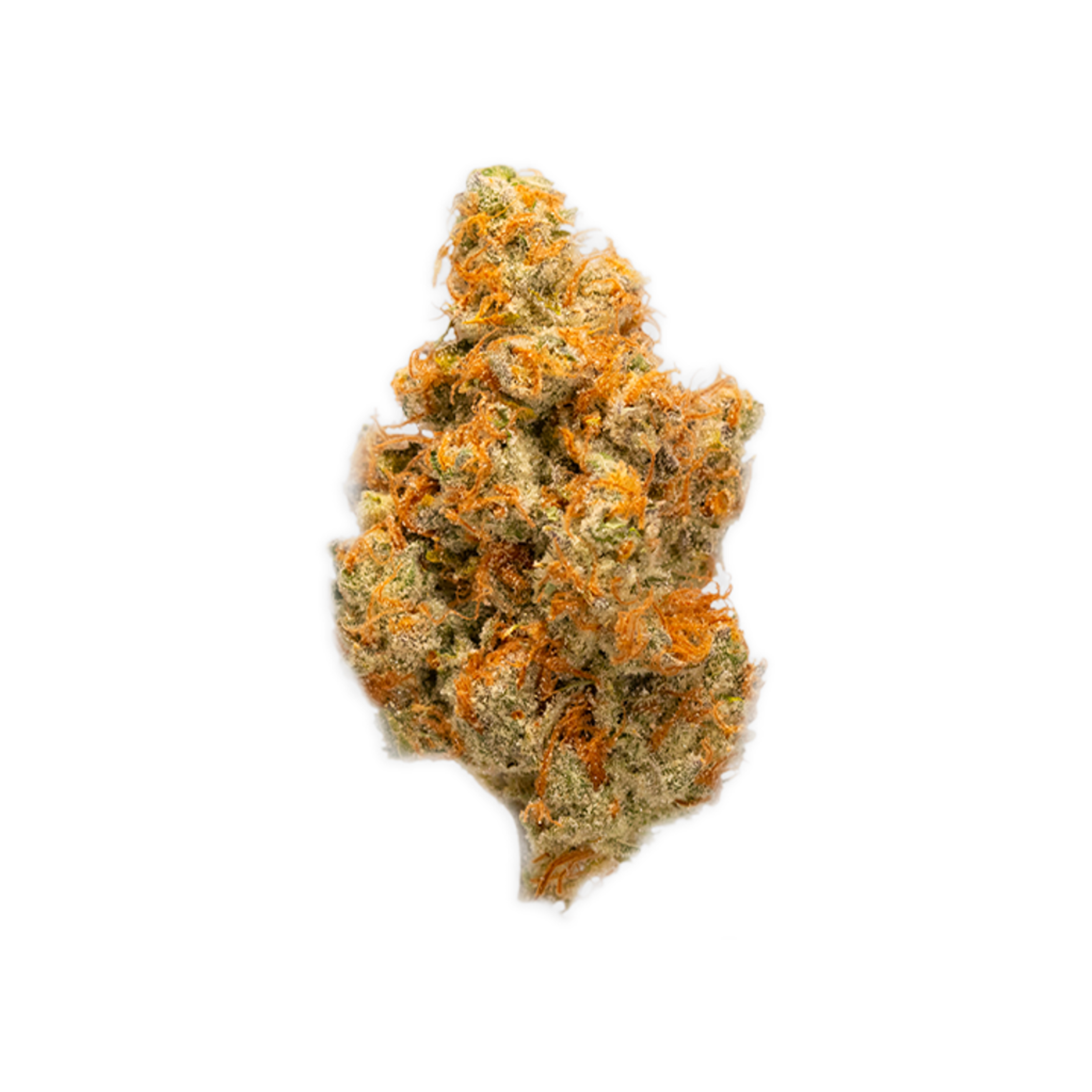 Jenny Kush Marijuana Strain