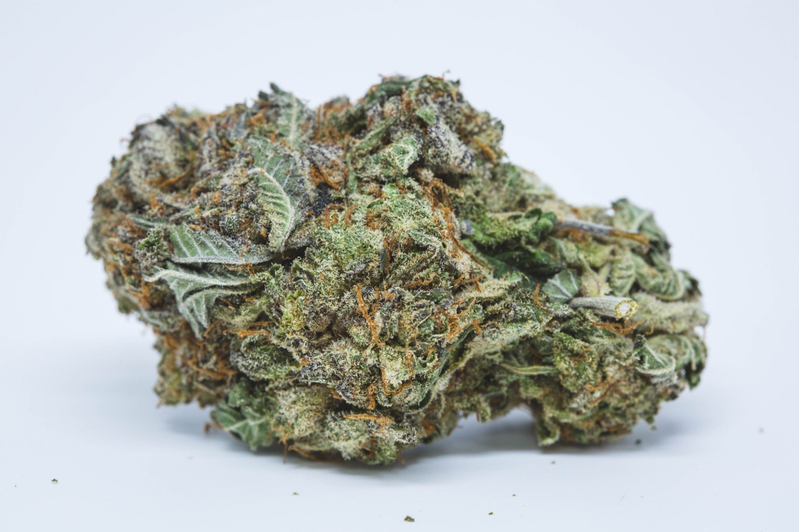 Purple Punch, Strongest strains