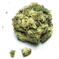Cherry Lime Haze Strain