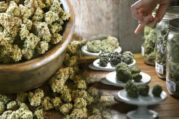 6 weed strains giveaway
