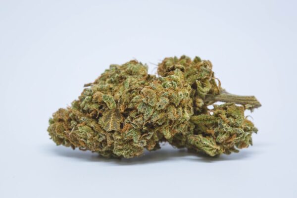 Cat Piss Marijuana