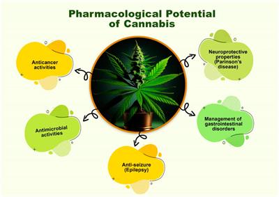 America’s winning weed Strains of Summer 2022 1 latest cannabis news