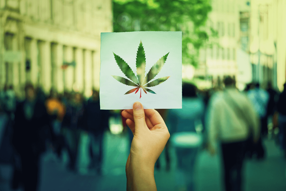 Strains for pain 1 Best Medical Marijuana Strains for Pain