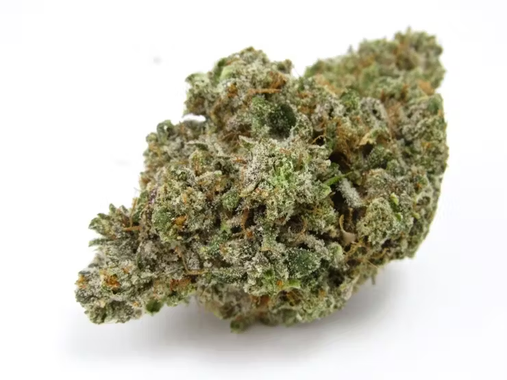 America’s winning weed Strains of Summer 2022 12 Summer Weed Strains 2022