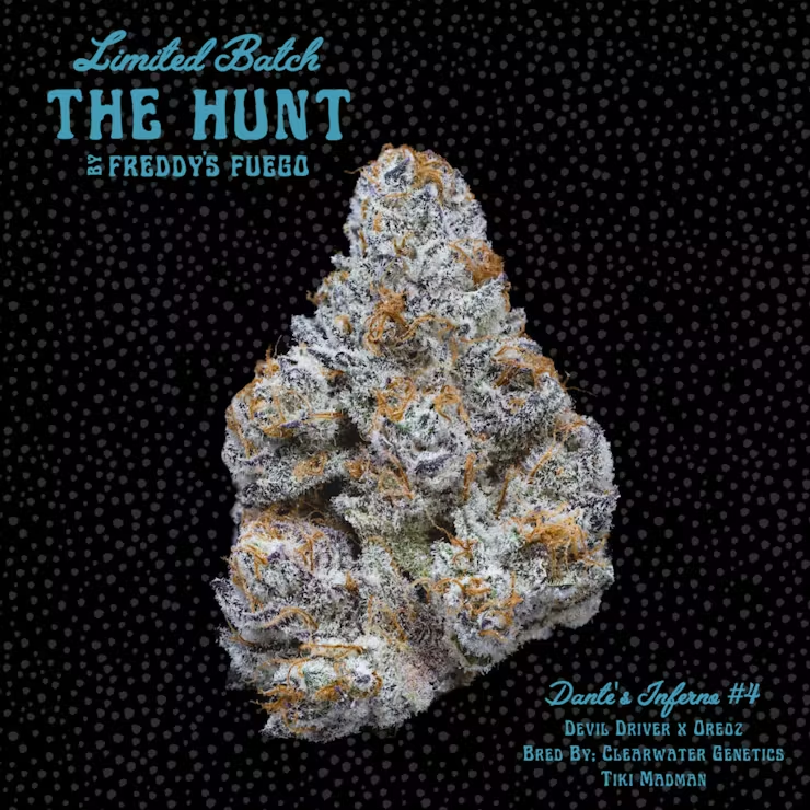 America’s winning weed Strains of Summer 2022 13 Summer Weed Strains 2022