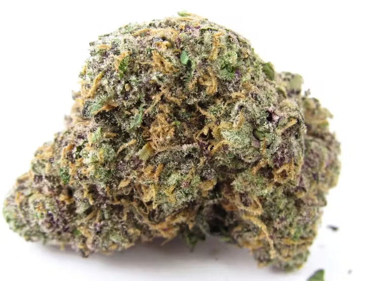 America’s winning weed Strains of Summer 2022 5 Summer Weed Strains 2022