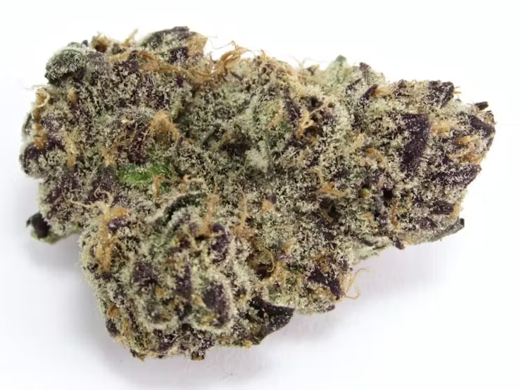 America’s winning weed Strains of Summer 2022 7 Summer Weed Strains 2022