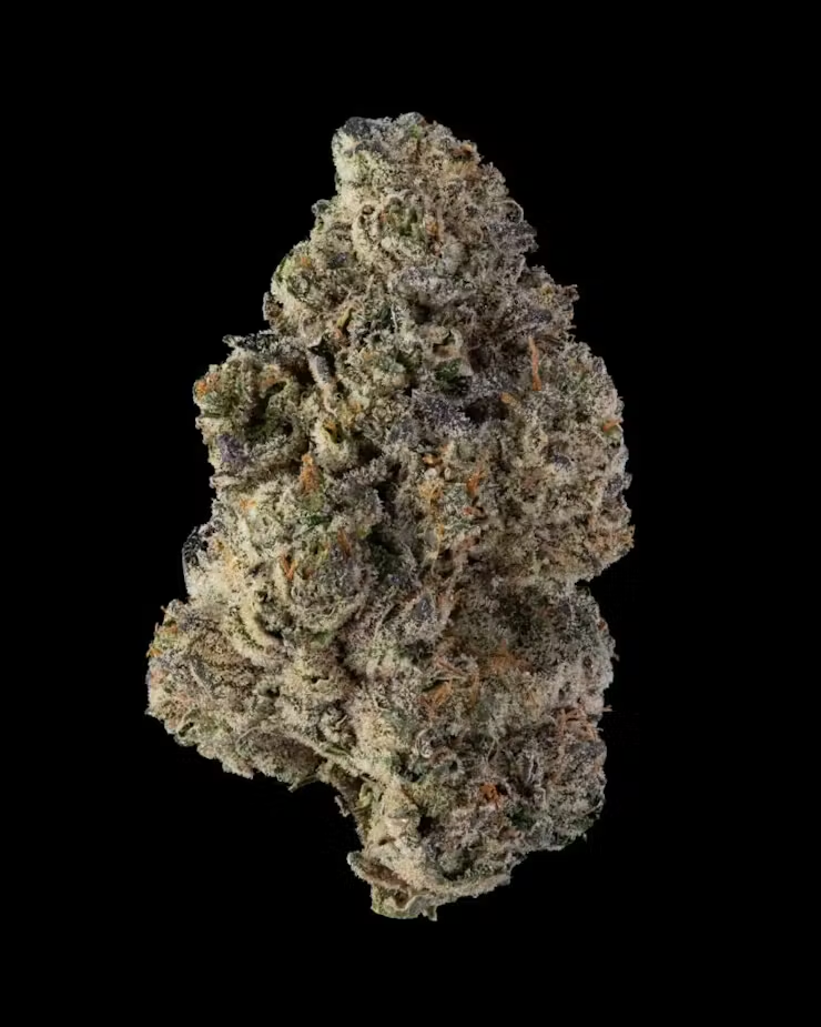 America’s winning weed Strains of Summer 2022 10 Summer Weed Strains 2022