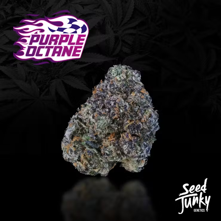 America’s winning weed Strains of Summer 2022 11 Summer Weed Strains 2022