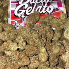 Bacio Gelato