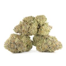 Duke Nukem Strain