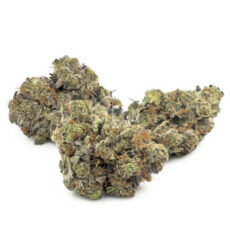 Gorilla Glue Strain