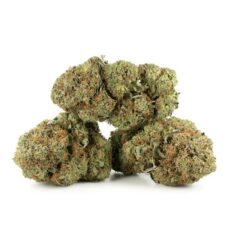 Greasy Death Bubba Strain