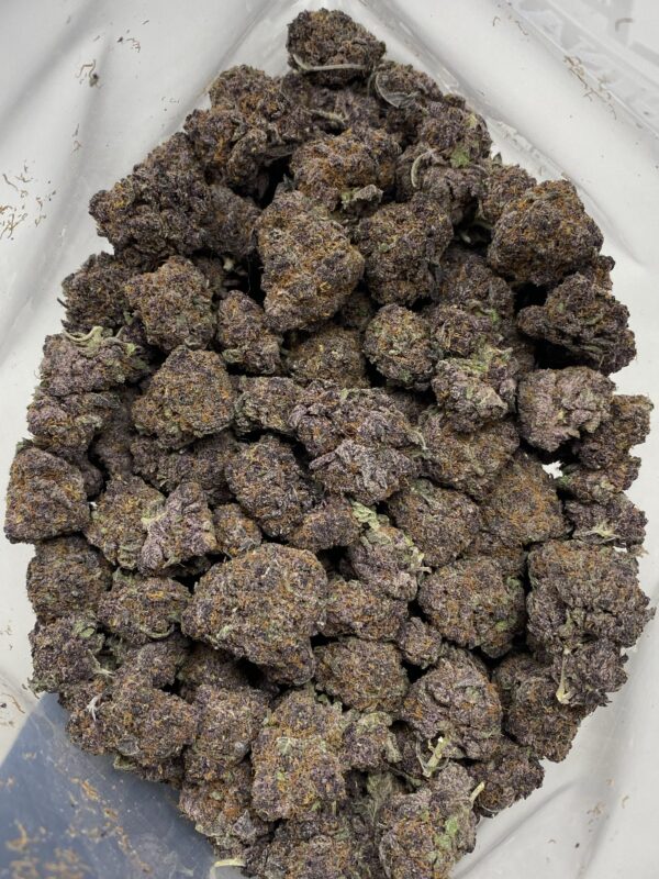 Tropicana Cookies strain - Image 2