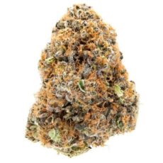 London Pound Cake Strain