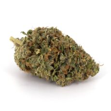 Pink Kush strain