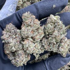 Wedding Cake Strain