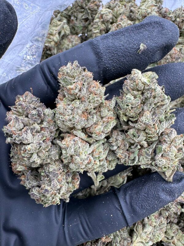 Wedding Cake Strain