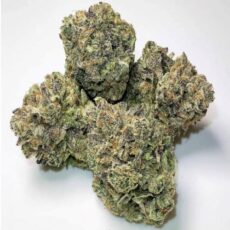 White Runtz strain