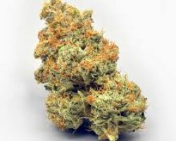 dispensary shipping worldwide, buy marijuana online, buy skunk online uk