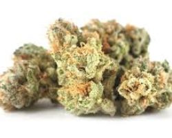buy weed online, Colorado dispensary shipping worldwide, online dispensary, legit, online dispensary shipping worldwide, buy marijuana online, weed online, online weed dispensary, 420 mail order, online dispensary shipping worldwide reviews, 420 mail order worldwide, online dispensary mail order, buy cannabis online, dispensaries that ship to pa, dispensary that ship to Texas, order weed online, dispensaries that ship to va, how to buy edibles online without a card, marijuana online, canada dispensary worldwide shipping, cannabis online dispensary, weed dispensary online, online dispensaries, mail order medical marijuana, online dispensary shipping worldwide paypal, weed online supplier dispensary, cheap legit online dispensary shipping worldwide, online marijuana dispensary, 420 mail order usa, order marijuana online, order marijuana online, cannabis online, online dispensary fl, where to buy weed online, mail order marijuana, online weed dispensaries, dispensaries that ship to tennessee, marijuana dispensary online, online marijuana dispensaries, marijuana online dispensary